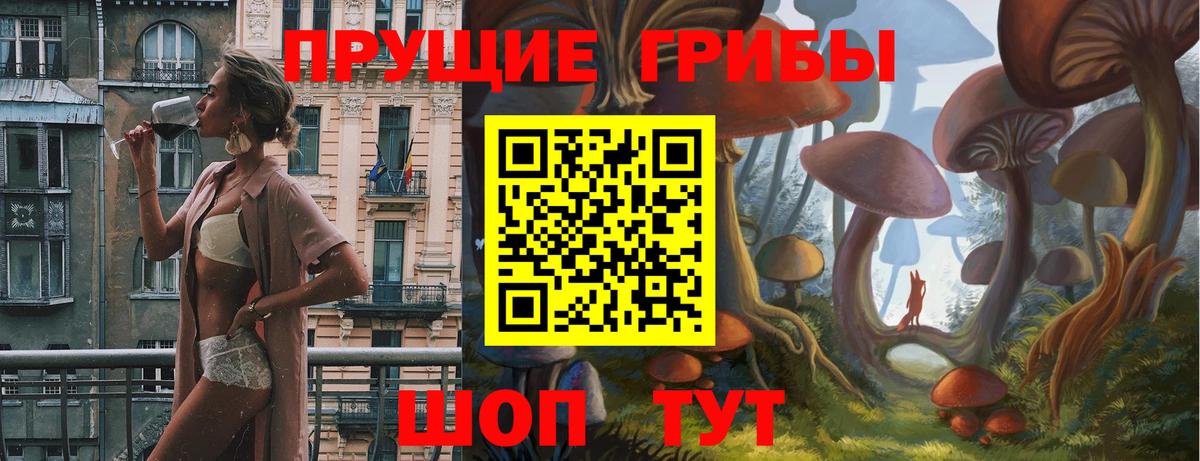 Псилоцибиновые грибы Psilocybe Симферополь